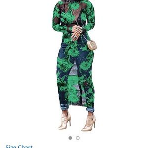 Mesh Green and Black Floral Dress